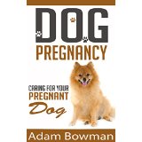 Dog Pregnancy: Caring For Your Pregnant Dog