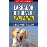 Labrador Retrievers Explained - A Beginner’s Guide