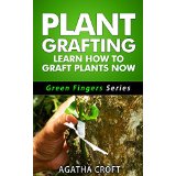 Plant Grafting - Learn How to Graft Plants Now